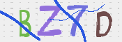 CAPTCHA 驗證圖片