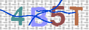 CAPTCHA 驗證圖片
