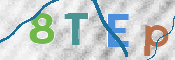 CAPTCHA 驗證圖片