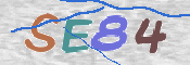 CAPTCHA 驗證圖片
