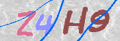 CAPTCHA 驗證圖片