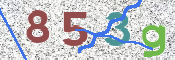 CAPTCHA 驗證圖片