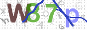 CAPTCHA 驗證圖片