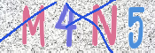 CAPTCHA 驗證圖片