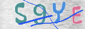 CAPTCHA 驗證圖片