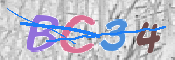 CAPTCHA 驗證圖片