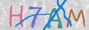 CAPTCHA 驗證圖片