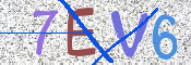 CAPTCHA 驗證圖片