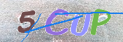 CAPTCHA 驗證圖片