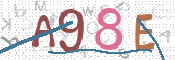 CAPTCHA 驗證圖片
