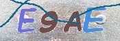 CAPTCHA 驗證圖片