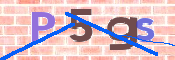 CAPTCHA 驗證圖片