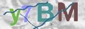 CAPTCHA 驗證圖片