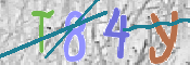 CAPTCHA 驗證圖片
