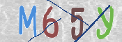 CAPTCHA 驗證圖片