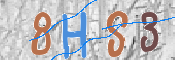 CAPTCHA 驗證圖片