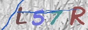 CAPTCHA 驗證圖片