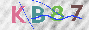 CAPTCHA 驗證圖片
