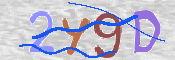 CAPTCHA 驗證圖片