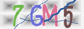 CAPTCHA 驗證圖片