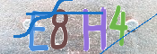 CAPTCHA 驗證圖片