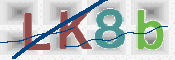 CAPTCHA 驗證圖片