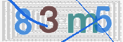 CAPTCHA 驗證圖片