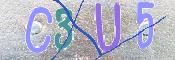 CAPTCHA 驗證圖片