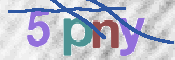 CAPTCHA 驗證圖片