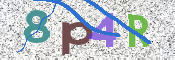 CAPTCHA 驗證圖片