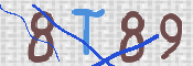 CAPTCHA 驗證圖片