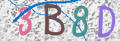 CAPTCHA 驗證圖片