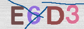 CAPTCHA 驗證圖片