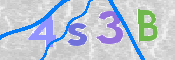 CAPTCHA 驗證圖片