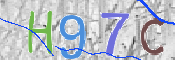 CAPTCHA 驗證圖片
