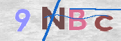CAPTCHA 驗證圖片