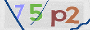 CAPTCHA 驗證圖片