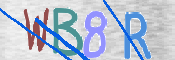 CAPTCHA 驗證圖片