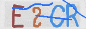 CAPTCHA 驗證圖片