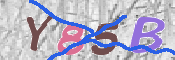 CAPTCHA 驗證圖片