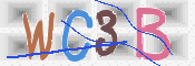 CAPTCHA 驗證圖片