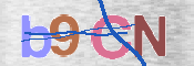 CAPTCHA 驗證圖片