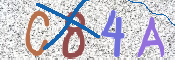 CAPTCHA 驗證圖片