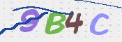 CAPTCHA 驗證圖片