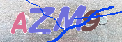 CAPTCHA 驗證圖片