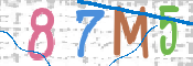 CAPTCHA 驗證圖片