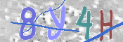 CAPTCHA 驗證圖片