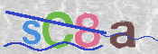 CAPTCHA 驗證圖片