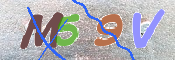 CAPTCHA 驗證圖片