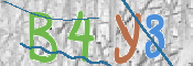 CAPTCHA 驗證圖片